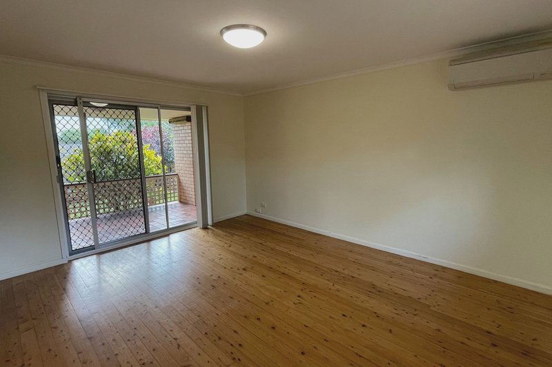 Photo - 79 Gloucester Road, Buderim QLD 4556 - Image 5