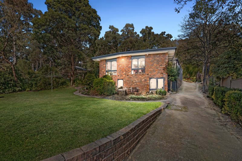 Photo - 79 Moore Avenue, Montrose VIC 3765 - Image 12