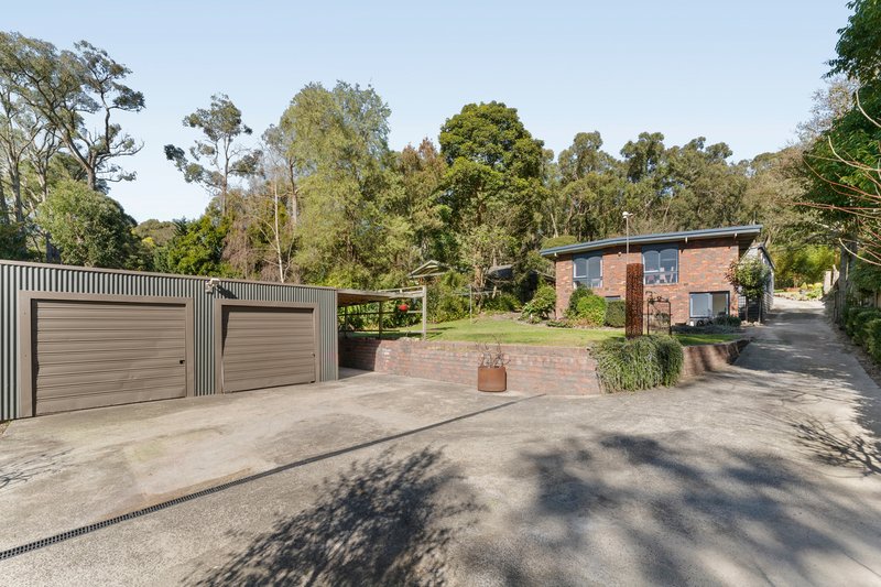 Photo - 79 Moore Avenue, Montrose VIC 3765 - Image 13