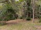 Photo - 79 Mystery Road, Guanaba QLD 4210 - Image 21