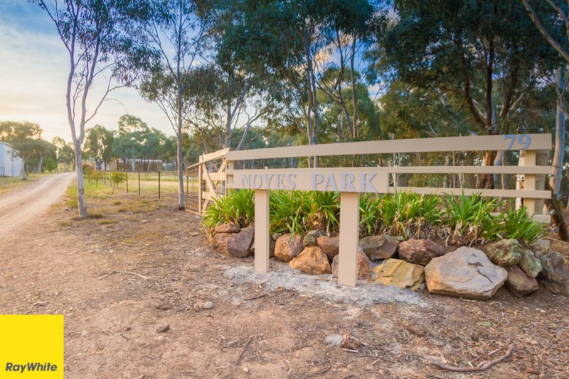 79 Noyes Ln. , Gundaroo NSW 2620