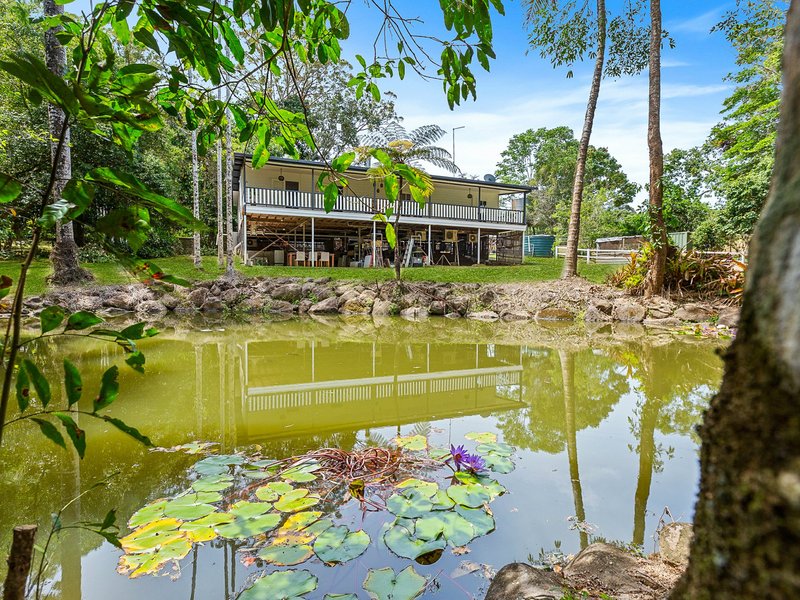 Photo - 79 Oak Forest Road, Kuranda QLD 4881 - Image 18