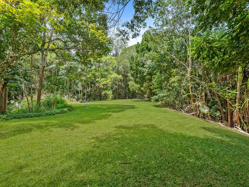 Photo - 79 Oak Forest Road, Kuranda QLD 4881 - Image 19