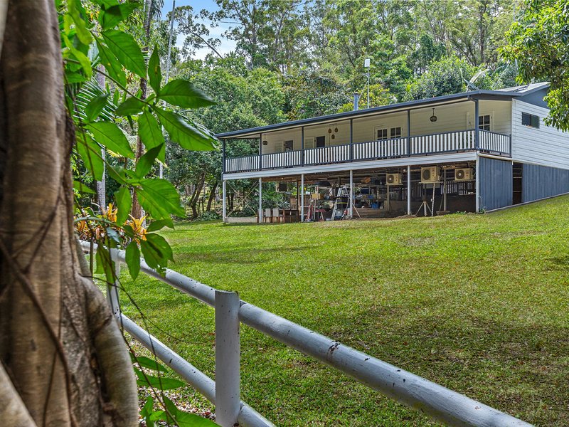 Photo - 79 Oak Forest Road, Kuranda QLD 4881 - Image 23