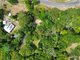 Photo - 79 Oak Forest Road, Kuranda QLD 4881 - Image 24