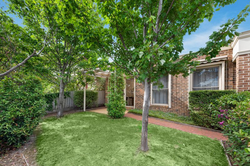 Photo - 790 Riversdale Road, Camberwell VIC 3124 - Image 8