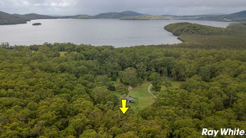 Photo - 793 Coomba Road, Whoota NSW 2428 - Image 5