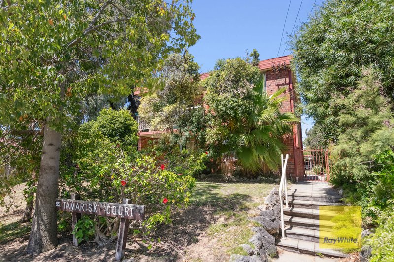 Photo - 7/95 Monument Street, Mosman Park WA 6012 - Image 15