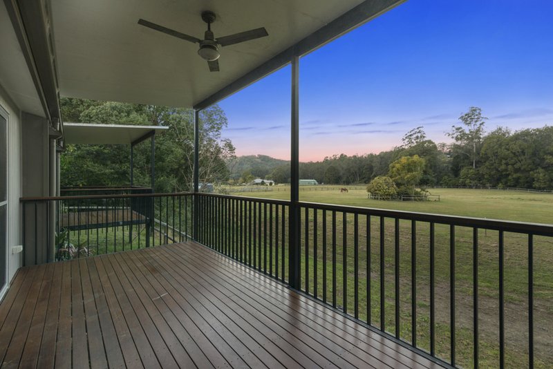 Photo - 795 Tallebudgera Creek Road, Tallebudgera Valley QLD 4228 - Image 4