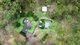Photo - 796 Torbanlea - Pialba Road, Takura QLD 4655 - Image 28