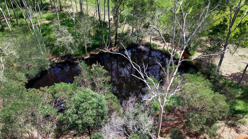 Photo - 796 Torbanlea - Pialba Road, Takura QLD 4655 - Image 31
