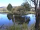 Photo - 798 Old Coach Road, Cranbrook TAS 7190 - Image 3