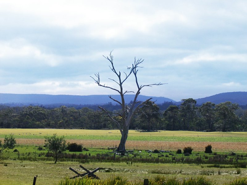 Photo - 798 Old Coach Road, Cranbrook TAS 7190 - Image 8