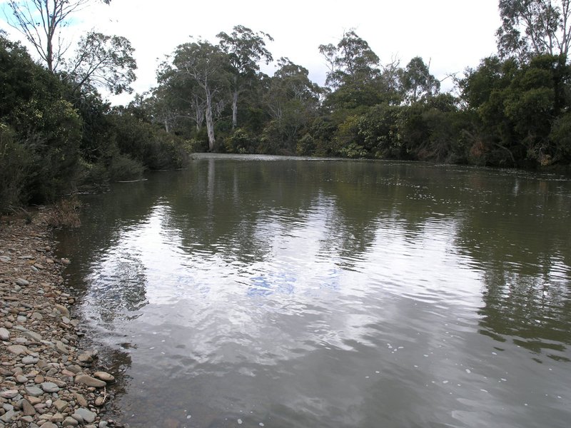 Photo - 798 Old Coach Road, Cranbrook TAS 7190 - Image 9