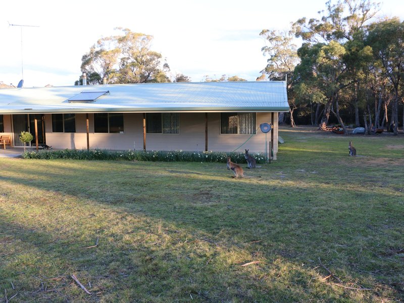 Photo - 798 Old Coach Road, Cranbrook TAS 7190 - Image 15