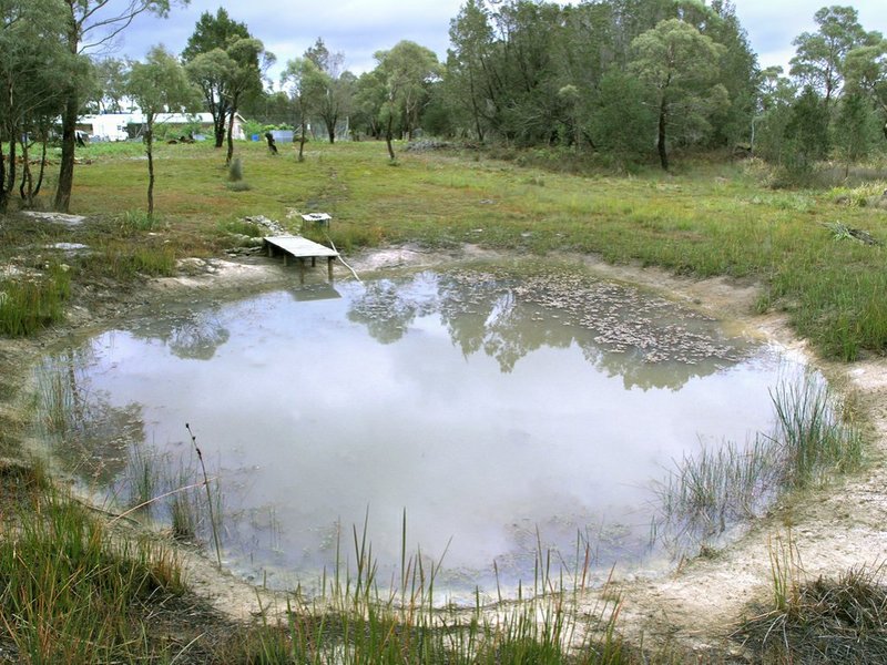 Photo - 798 Old Coach Road, Cranbrook TAS 7190 - Image 17