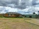 Photo - 798 Old Maitland Road, Bishops Bridge NSW 2326 - Image 2