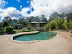 Photo - 798 Old Maitland Road, Bishops Bridge NSW 2326 - Image 18