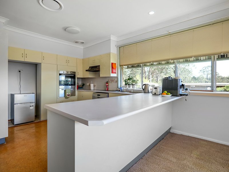 Photo - 798 Old Maitland Road, Bishops Bridge NSW 2326 - Image 22