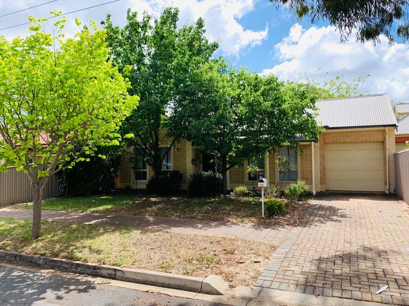 Photo - 7a Scott Street, Tranmere SA 5073 - Image 1