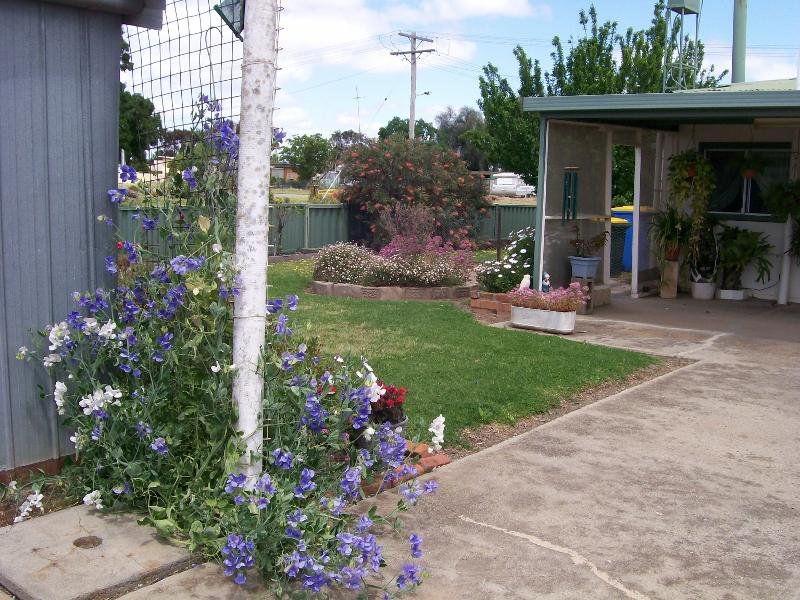 Photo - 8-14 Flynn Street, Berrigan NSW 2712 - Image 11