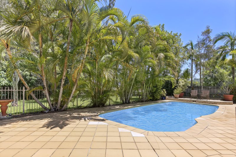 Photo - 8 Adrian Close, Buderim QLD 4556 - Image 2