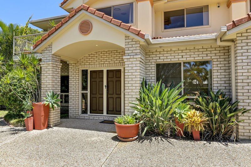 Photo - 8 Adrian Close, Buderim QLD 4556 - Image 3