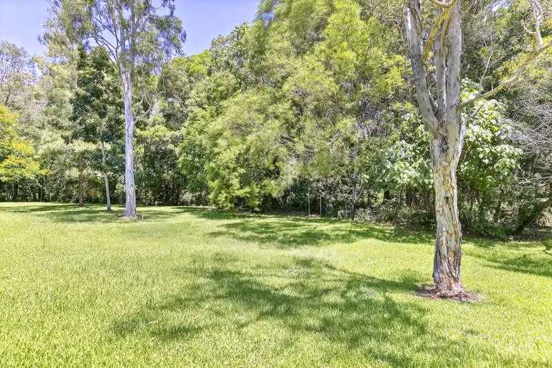 Photo - 8 Adrian Close, Buderim QLD 4556 - Image 19