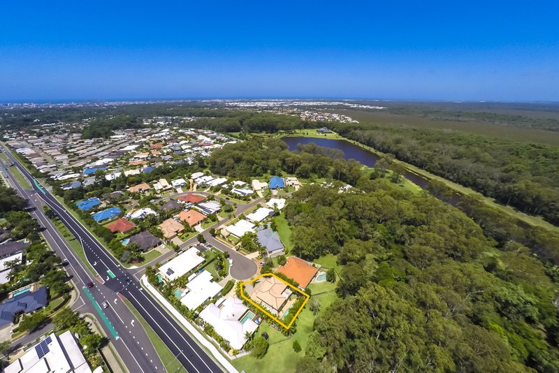 Photo - 8 Adrian Close, Buderim QLD 4556 - Image 21