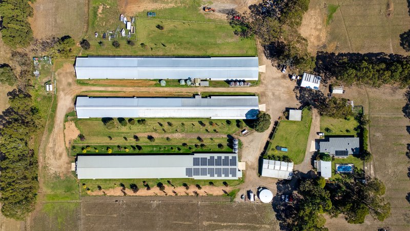 Photo - 8 Alden Street, Tyabb VIC 3913 - Image 3