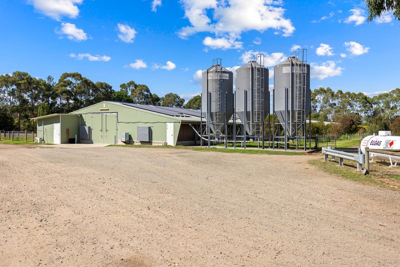 Photo - 8 Alden Street, Tyabb VIC 3913 - Image 26