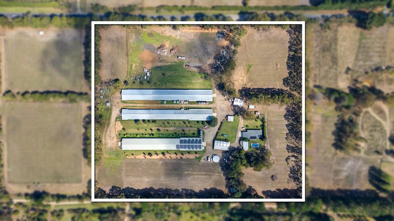Photo - 8 Alden Street, Tyabb VIC 3913 - Image 32