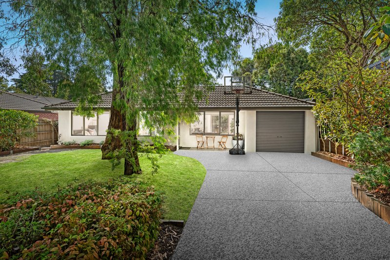 Photo - 8 Andrew Street, Forest Hill VIC 3131 - Image 1
