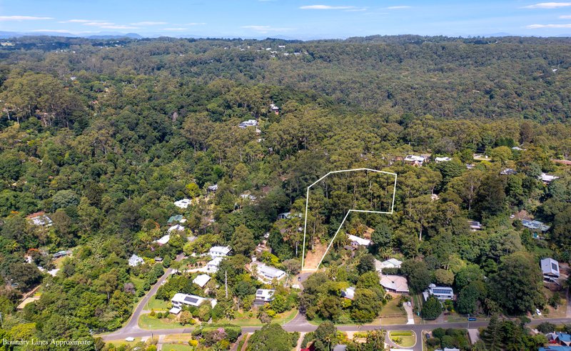 Photo - 8 Apo Court, Tamborine Mountain QLD 4272 - Image 4