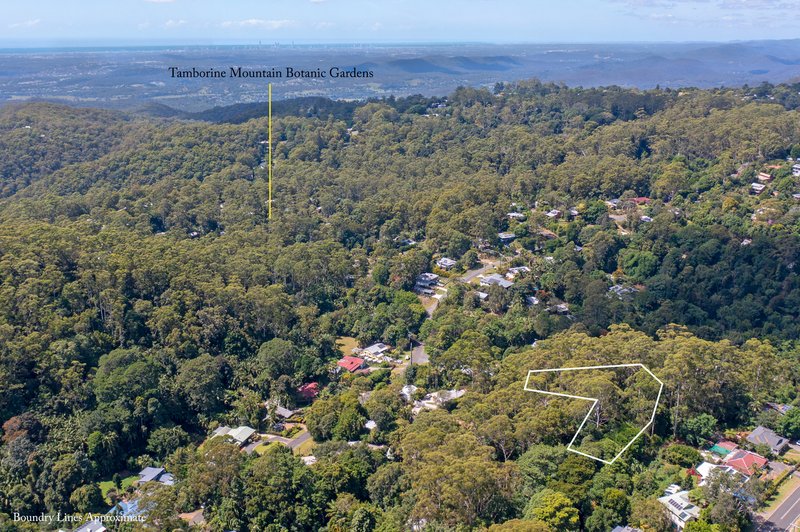 Photo - 8 Apo Court, Tamborine Mountain QLD 4272 - Image 5