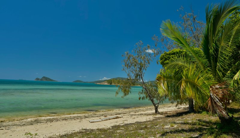 Photo - 8 Armit Court, Hideaway Bay QLD 4800 - Image 5