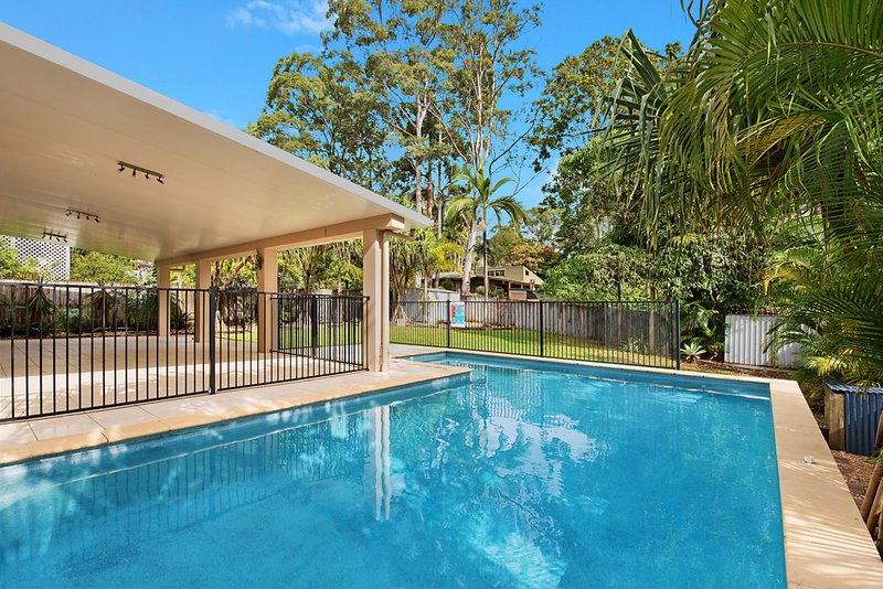 Photo - 8 Babylon Close, Buderim QLD 4556 - Image 10