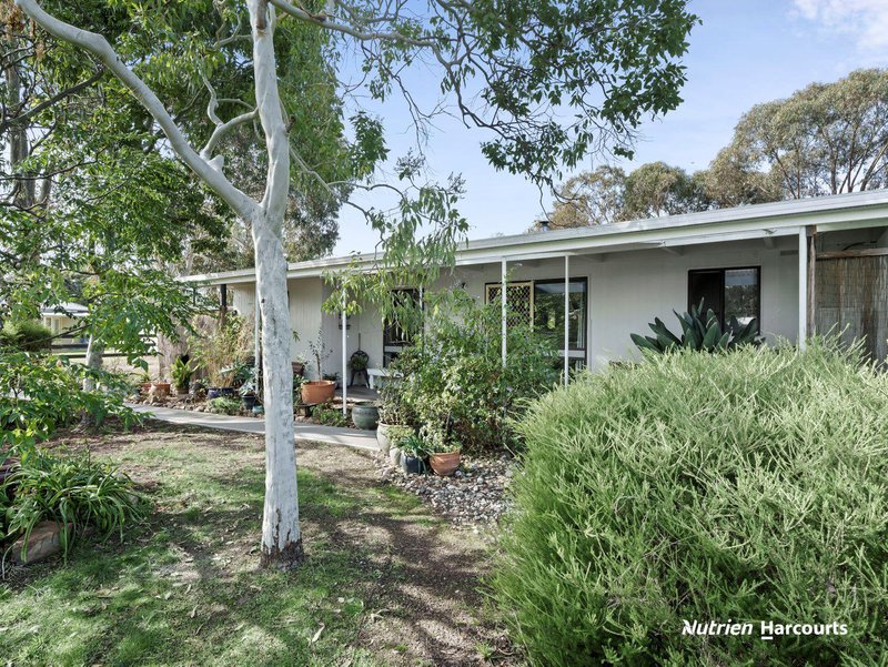 8 Baird Street, Violet Town VIC 3669