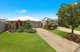 Photo - 8 Barramundi Ct , Mountain Creek QLD 4557 - Image 1