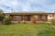 Photo - 8 Bassett Street, Tumut NSW 2720 - Image 1