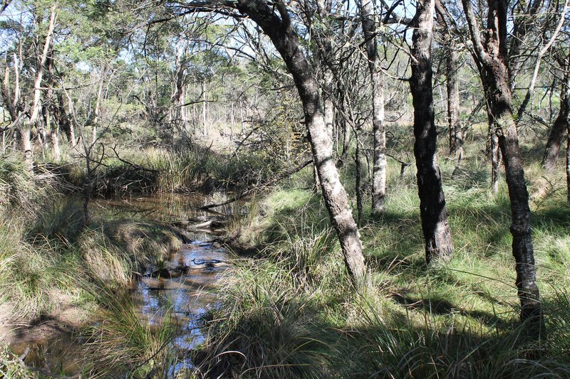 Photo - 8 Berlang Forest Road, Braidwood NSW 2622 - Image 7