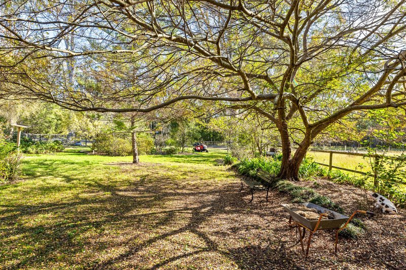 Photo - 8 Berriman Drive, Congo NSW 2537 - Image 18