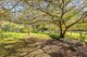 Photo - 8 Berriman Drive, Congo NSW 2537 - Image 18