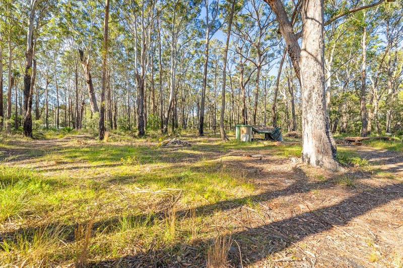 Photo - 8 Berriman Drive, Congo NSW 2537 - Image 23