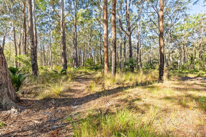 Photo - 8 Berriman Drive, Congo NSW 2537 - Image 24