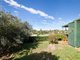 Photo - 8 Bettina Court, Eatons Hill QLD 4037 - Image 15