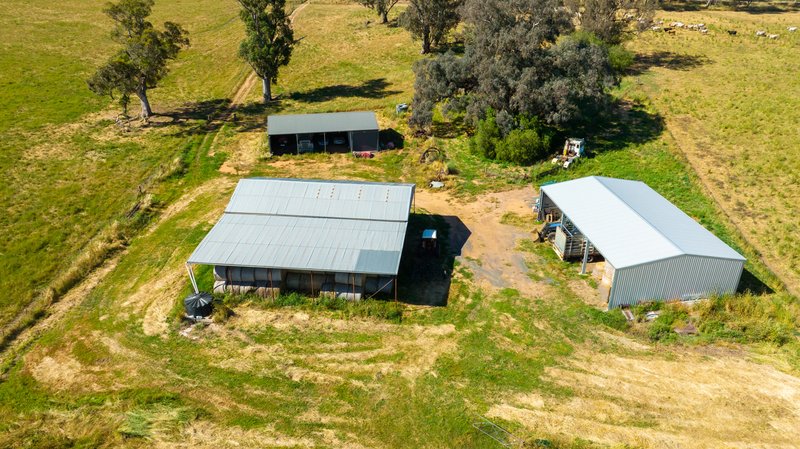 Photo - 8 Boxwood Park Road, Bungowannah NSW 2640 - Image 5