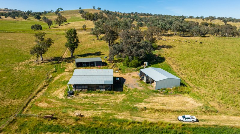 Photo - 8 Boxwood Park Road, Bungowannah NSW 2640 - Image 29