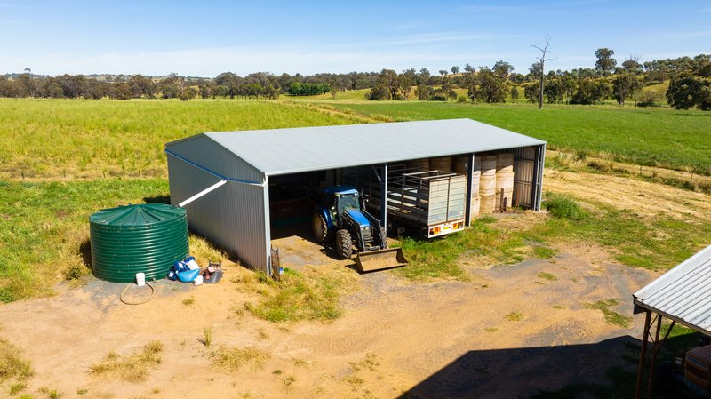 Photo - 8 Boxwood Park Road, Bungowannah NSW 2640 - Image 32