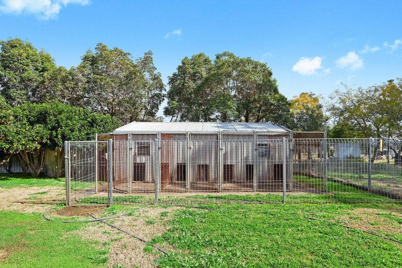 Photo - 8 Brazier Road, Kleinton QLD 4352 - Image 8